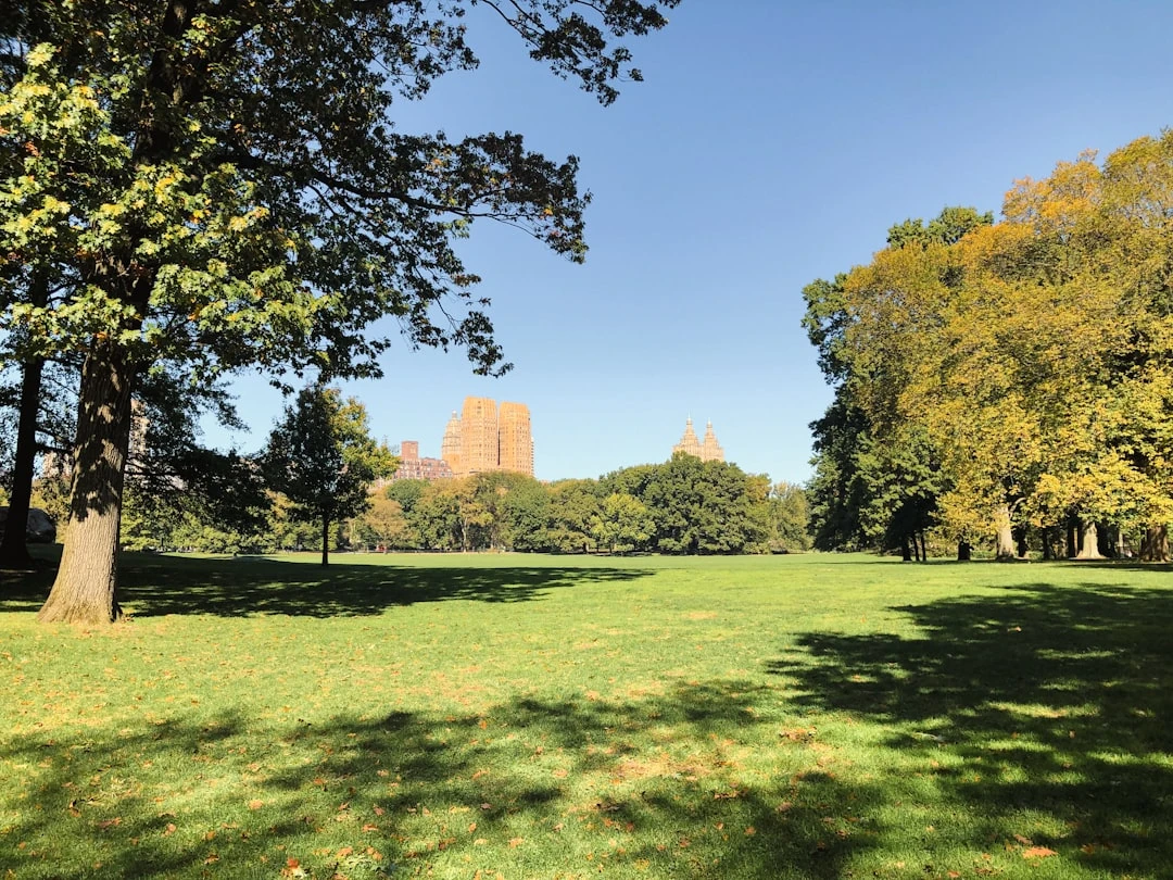 Hình ảnh các trường đại học hàng đầu tại Mỹ với sắc thu đặc trưng.